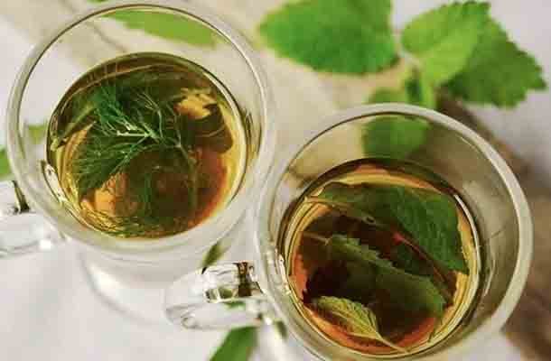 DETOX DESPUES DEL VERANO